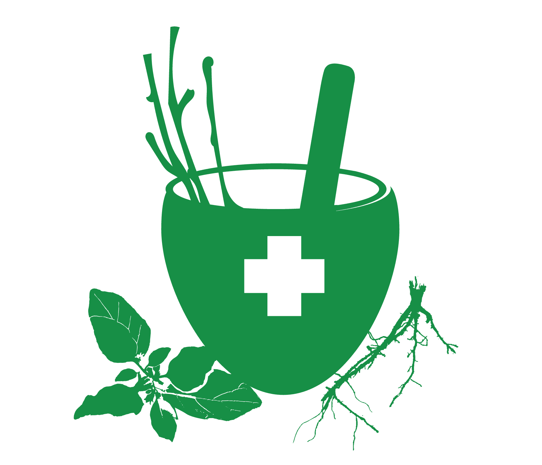 Traditional Medicine for One-Health